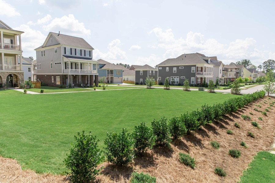 Commercial Landscape Management in Metro Atlanta