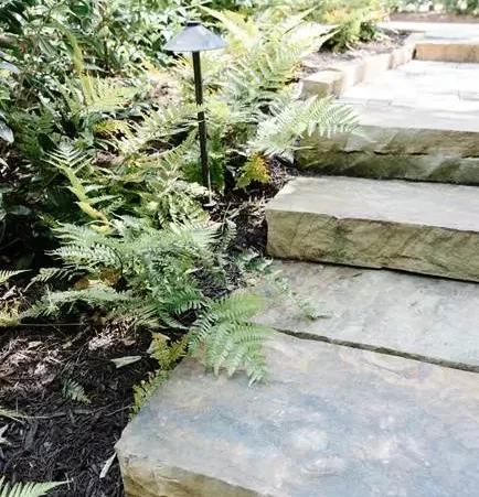 Featured image for “Outdoor Drainage Problems”