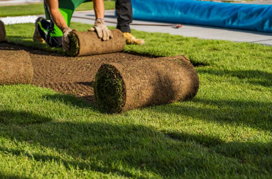 Workers laying rolls of fresh sod on a lawn in Metro Atlanta